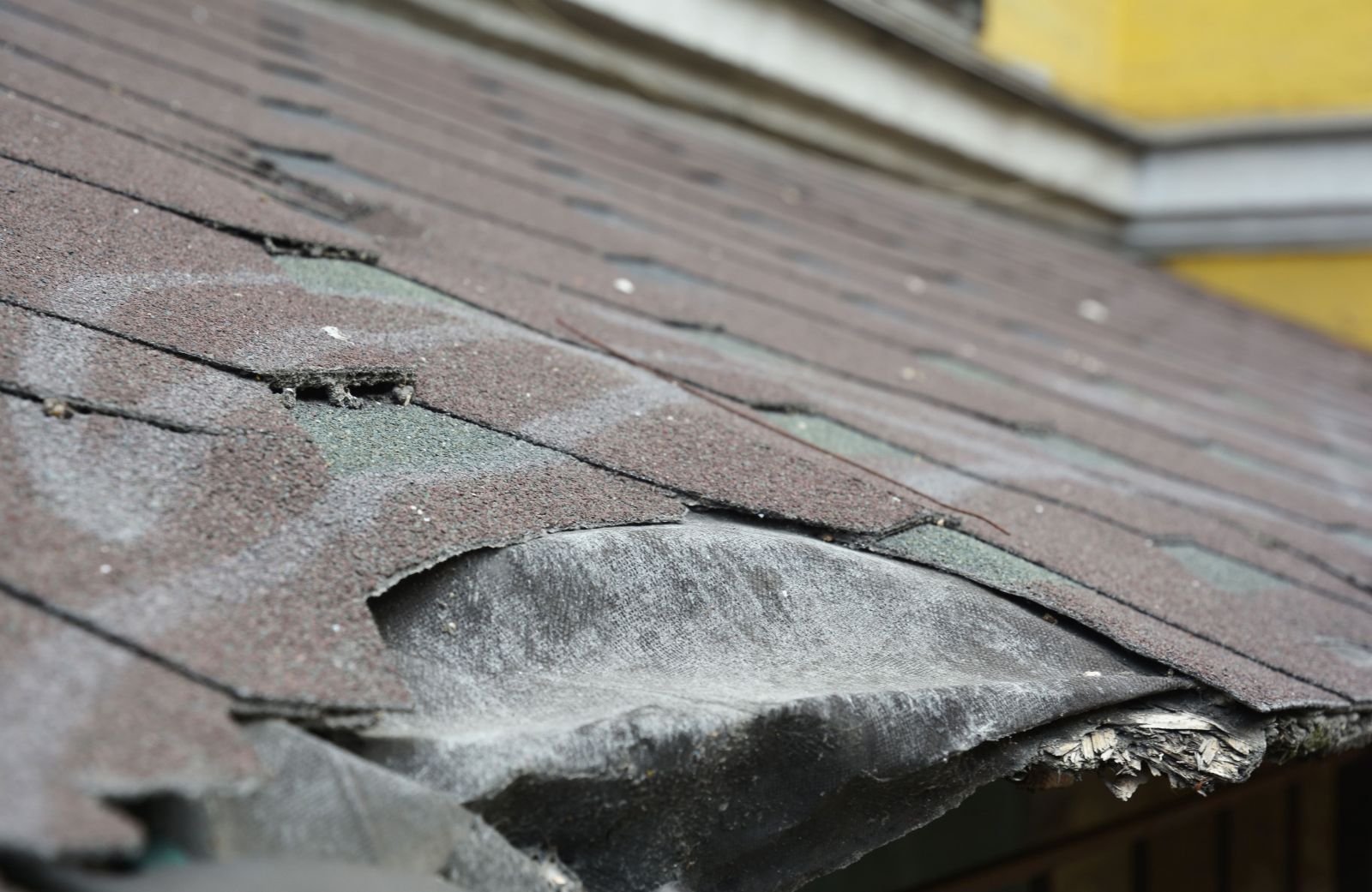Griffin Roofing and Exteriors Images
