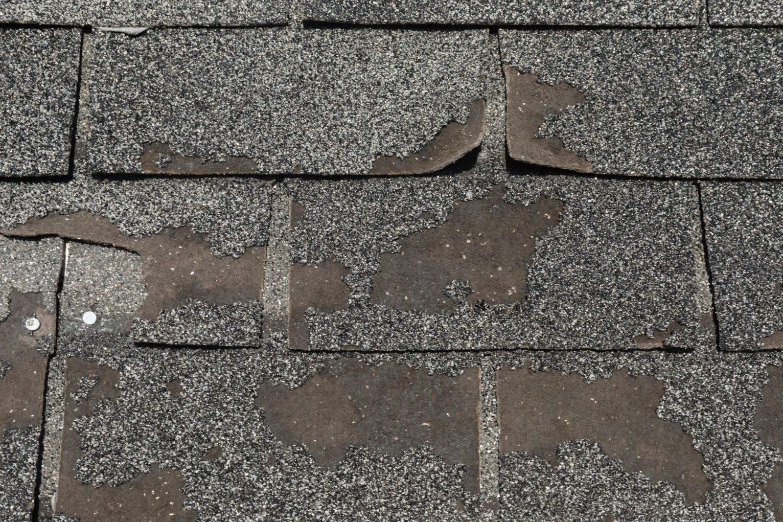 Griffin Roofing and Exteriors Images