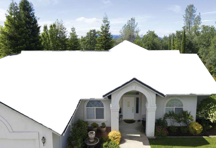 Griffin Roofing and Exteriors Images
