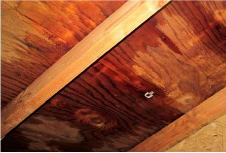 Interior damaged roof