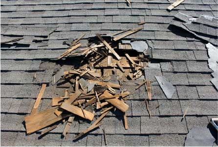 Tree damaged roof